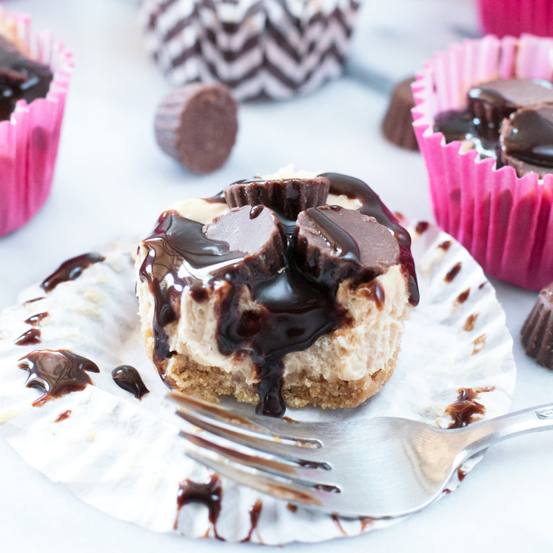 No Bake Mini Peanut Butter Cheesecakes