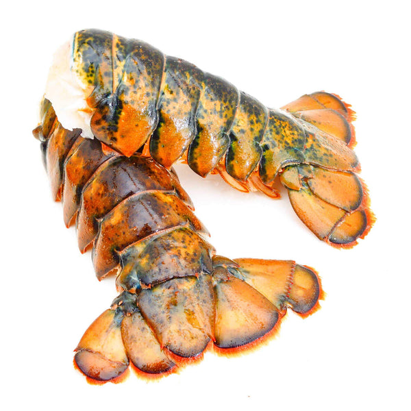 *LIMITED DROP: 50 AVAILABLE* Wild Caught Lobster Tails